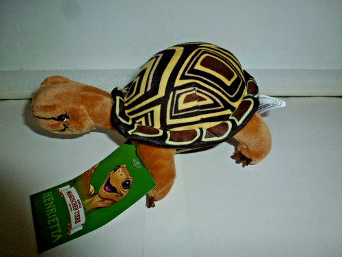 Schildkröte henrietta die - schildkröte, henrietta-
