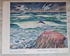 VOSS Margarine Kunstbilder