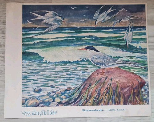 Voss margarine kunstbilder - voss,