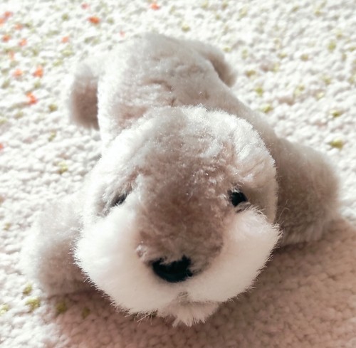Kleine robbe - kleine,