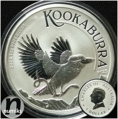 Kookaburra 2024 p125 - kookaburra,