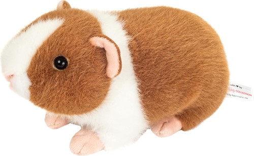 Teddy hermann meerschweinchen - hermann,