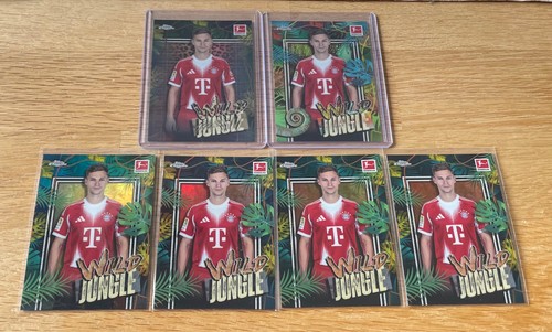 Wild jungle kimmich - wild,