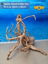 👋XXL Moorkien - Spiderwood