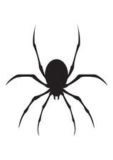 Autoaufkleber Sticker Spinne