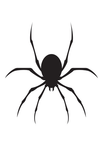Autoaufkleber sticker spinne - sticker,