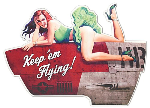 Pin flugzeug blechschild - flugzeug,