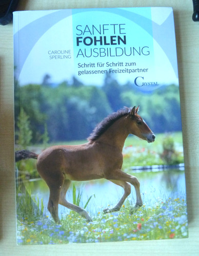 Sanfte fohlen ausbildung - sanfte,