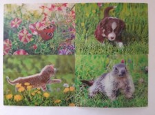 3 D Ansichtskarte Katze Hund