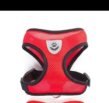  Brustgeschirr + Leine Gr. S