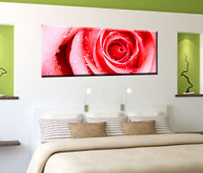 Bild Foto auf echter Leinwand