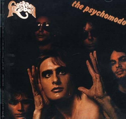 The psychomodo - the,