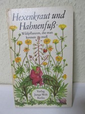 Hexenkraut und Hahnenfuß -