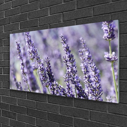 Wandbilder aus plexiglas - wandbilder, plexiglas®