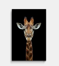 Leinwand Bild Giraffe Bilder Wandbilder Canvas Hochwertiger Kunstdruck