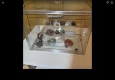 Kleinere Schauvitrine mit