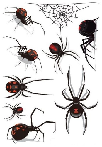 Tattoo spinne schwarze - tattoo,