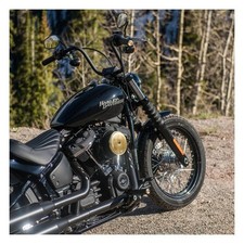 arlen ness air trax Griffe Messing Endkappe 74-up h-d mit Accelera