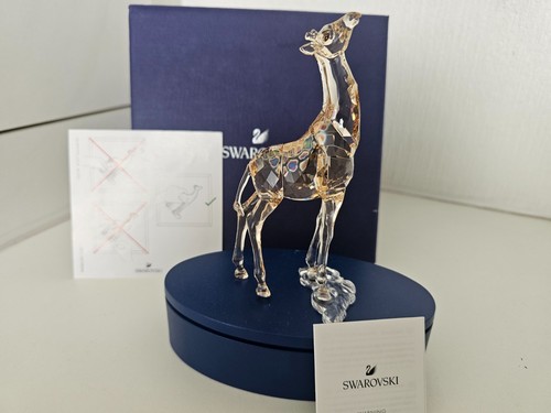 Swarovski scs 2018 - scs, "baby