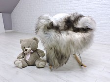 Selten Isländischer