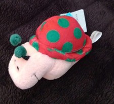 W. STEINBECK Antonella seltene