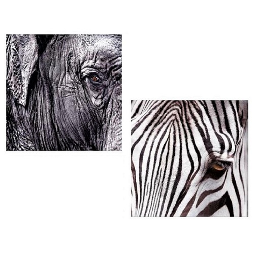 Stück wandbilder zebra und - ,