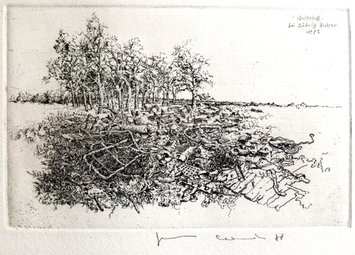 Ludwig richter märchenhaft - richter, "