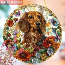 Langhaar Dackel Sonnenfänger