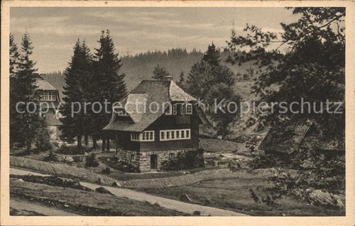 Feldberg schwarzwald hotel - schwarzwald,