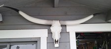 Deko Kuhschädel HWC-D32, Stierkopf Bulle Tierkopf Longhorn Polyresin 103x43x11cm