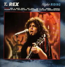 T. Rex Night Riding knight