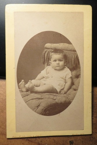 Sitting little child baby - little,