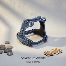 Hundegeschirr ohne Zug