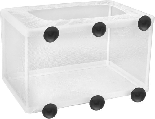 Fische brutkasten isolation - fische,