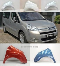 KOTFLÜGEL VORNE LACKIERT IN