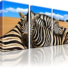 Zebra Tiere Afrika Sahara Landschaft Bild Leinwand Keilrahmen Wandbild
