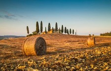 Wandbild: Schöne Toskana -Landschaft mit traditionellem Bauernhaus und [...]