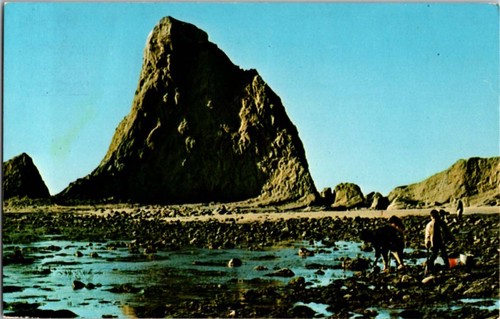 Half moon bay postcard - bay, ca