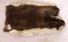 Schönes Hasenfell Länge: 36cm Rabbit Fur