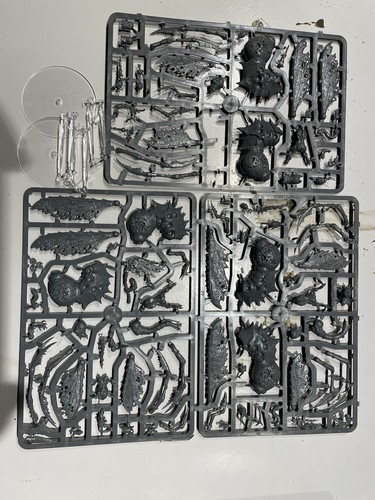 Age sigmar maggotkin - age,