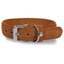 Das Lederband Hunde Halsband