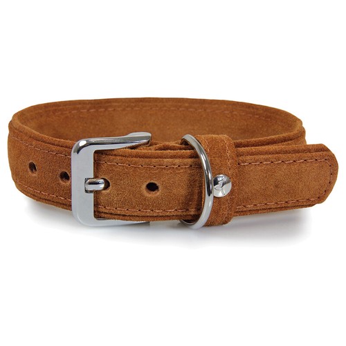 Das lederband hunde - hunde, halsband