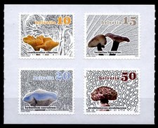 Pilze. 4W. Schweiz 2014