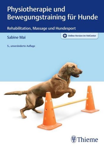 Physiotherapie und