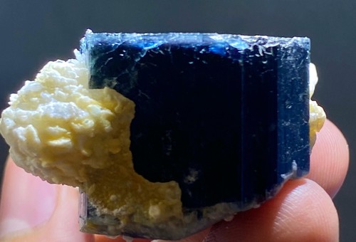 Natürliches blaukappe - natürliches,