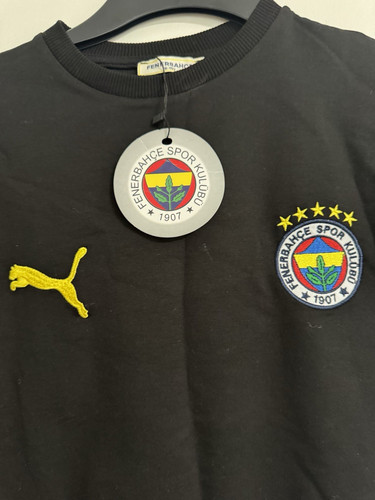 Puma fenerbahçe shirt - sk, t-shirt
