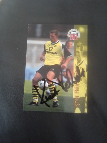 Borussia dortmund knut - dortmund,