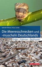 Die Meeresschnecken und