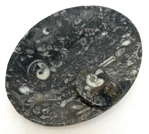 Fm1326 orthoceras seifenschale - orthoceras,