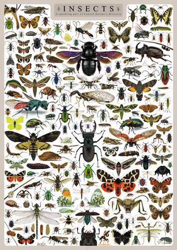 Riesen insekten poster din - riesen,
